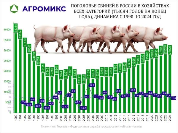 Поголовье свиней в СССР и России в хозяйствах всех категорий с 1990 по 2024 год, тысяч голов на конец года