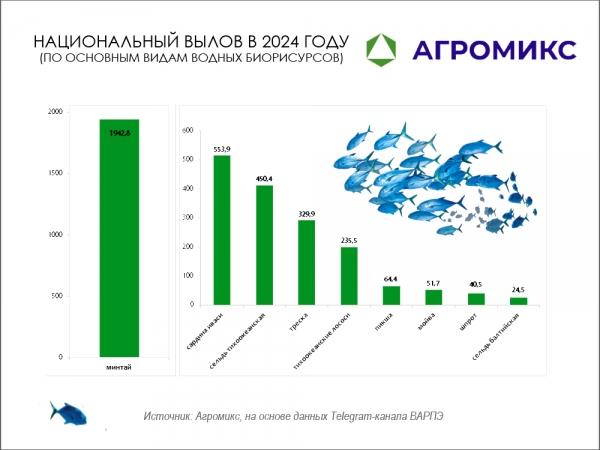 Сколько рыбы выловили российские рыбаки в 2024 году, распределение добычи по основным видам