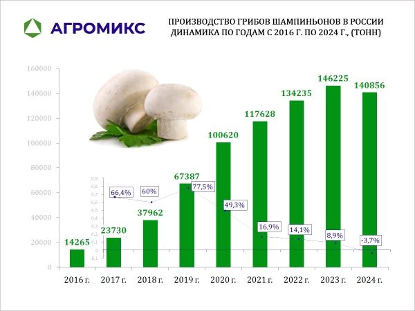 Диаграмма: Объём производства грибов шампиньонов в РФ динамика по годам 2016-2024 год в тоннах