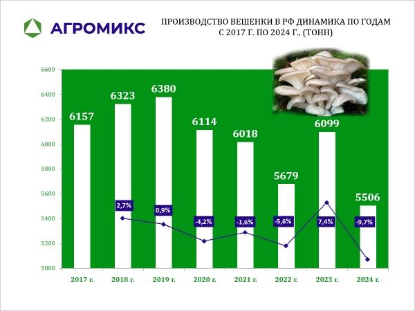 Диаграмма: Динамика объёмов производства культивируемых грибов вешенок в России по годам 2016-2024 год, в тоннах