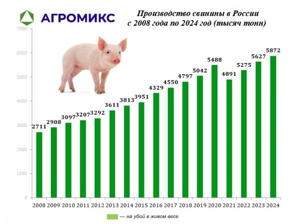 Объём производство свинины в России динамика по годам с 2008 по 2024 год