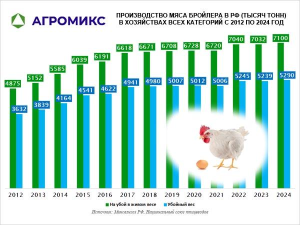 Диаграмма: Производство мяса бройлера в России, динамика по годам с 2012 по 2024 год, объём указан в тысячах тонн Диаграмма: Производство мяса бройлера в России, динамика по годам с 2012 по 2024 год, объём указан в тысячах тонн