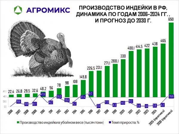 Диаграмма: Объём производства мяса индейки в РФ, динамика по годам 2006–2024 гг. и прогноз до 2030 г., тысяч тонн