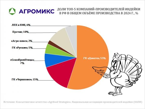 Диаграмма: Доли ТОП-5 компаний-производителей индейки в России в общем объёме производства в 2024 г., в процентах