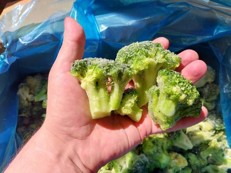 Капуста брокколи замороженная купить оптом в Москве по выгодной цене от производителя из Египта