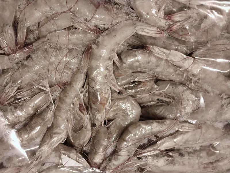 Замороженная креветка блочная 70-80 штук в кг от производителя из Ирана купить оптом в Москве