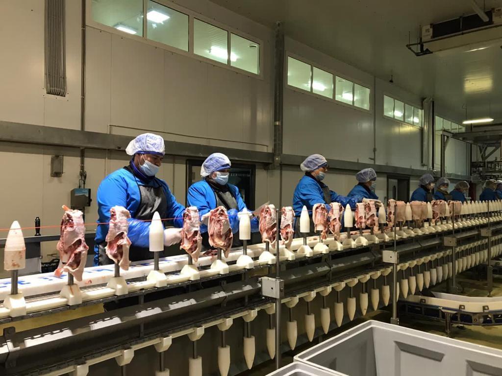 В Миллеровском районе Ростовской области возобновил работу завод по убою и переработке утки