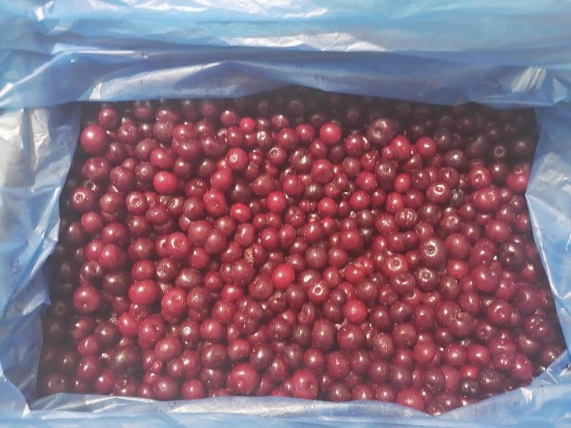Замороженная вишня с косточкой оптом в Москве по низкой цене от производителя Россия или Узбекистан