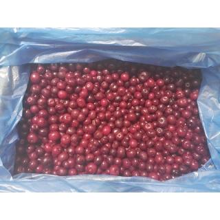 Замороженная вишня с косточкой оптом в Москве по низкой цене от производителя Россия или Узбекистан