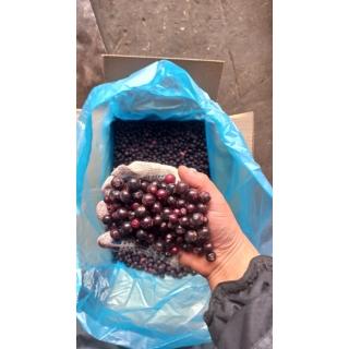Замороженная чёрная смородина от производителя из Турции купить мелким оптом дёшево по выгодной цене