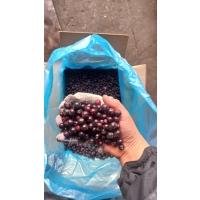 Замороженная чёрная смородина от производителя из Турции купить мелким оптом дёшево по выгодной цене