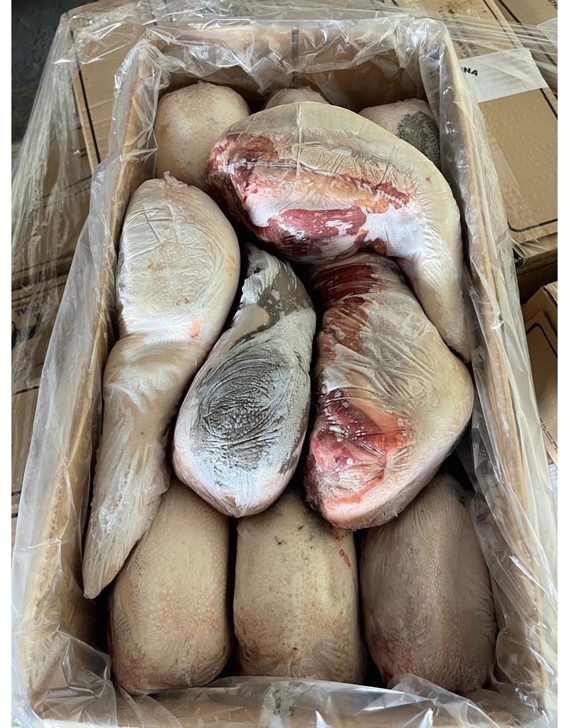 Замороженный говяжий язык от производителя Offal Аргентина купить оптом по привлекательной цене