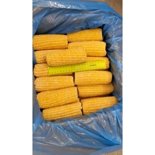 Замороженная кукуруза в початках от производителя из Индии купить оптом в Москве по выгодной цене