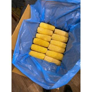 Замороженная кукуруза в початках от производителя из Индии купить оптом в Москве по выгодной цене