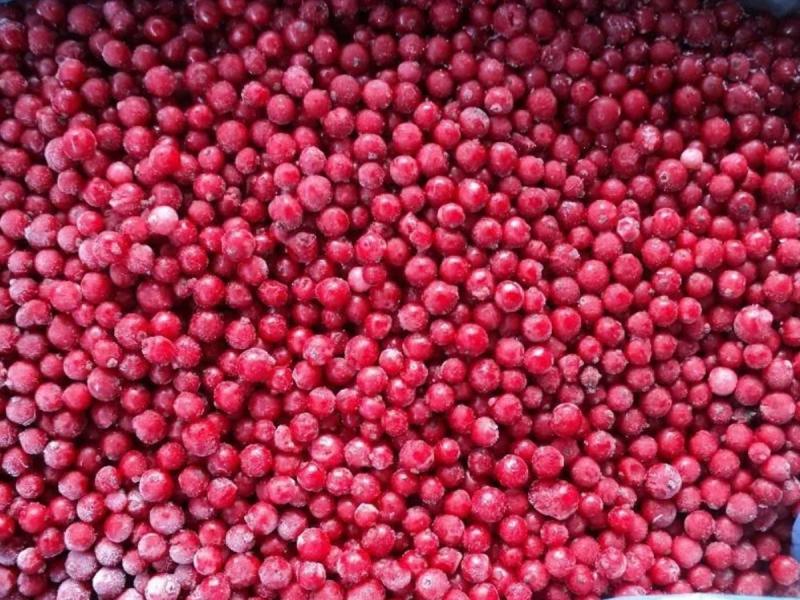 Красная смородина замороженная от производителя из Китая купить оптом в Москве по выгодной цене