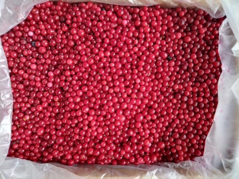 Замороженная брусника от производителя ЭКОФУД купить недорого мелким оптом в Москве по низкой цене