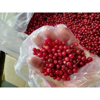 Замороженная брусника от производителя ЭКОФУД купить недорого мелким оптом в Москве по низкой цене