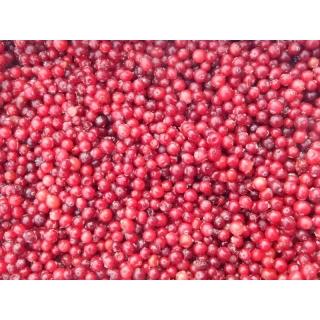 Замороженная клюква от производителя АЙС ТОРГ купить недорого крупным и мелким оптом в Москве, цена