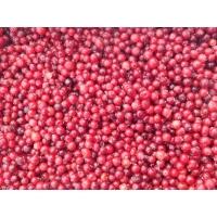 Замороженная клюква от производителя АЙС ТОРГ купить недорого крупным и мелким оптом в Москве, цена