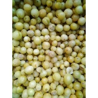 Крыжовник замороженный от производителя из Турции купить мелким оптом в Москве по выгодной цене