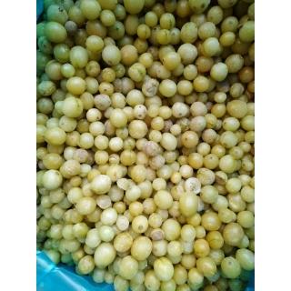 Крыжовник замороженный от производителя из Турции купить мелким оптом в Москве по выгодной цене