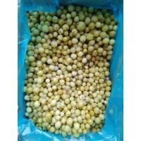 Крыжовник замороженный от производителя из Турции купить мелким оптом в Москве по выгодной цене