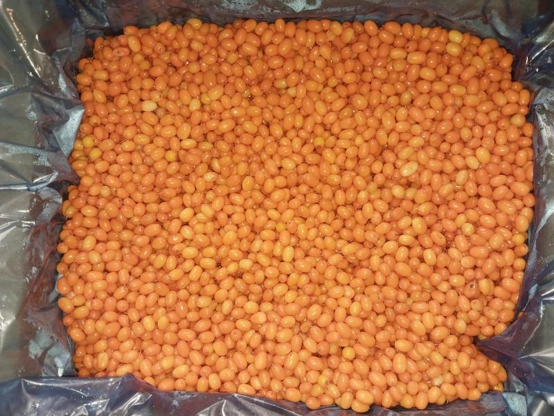 Замороженная облепиха от производителя из Китая купить дёшево крупным и мелким оптом по низкой цене