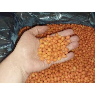 Замороженная облепиха от производителя из Китая купить дёшево крупным и мелким оптом по низкой цене