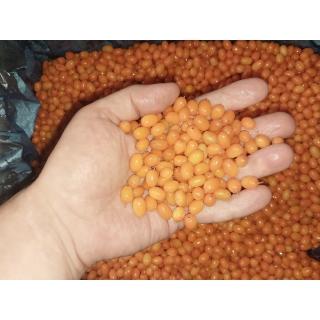 Замороженная облепиха от производителя из Китая купить дёшево мелким оптом в Москве по низкой цене