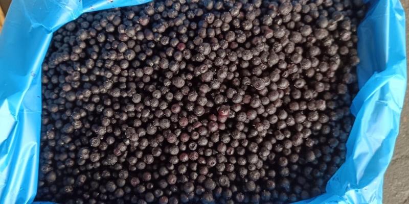 Черника лесная дикорастущая и другие ягоды купить мелким оптом в Москве по цене производителя