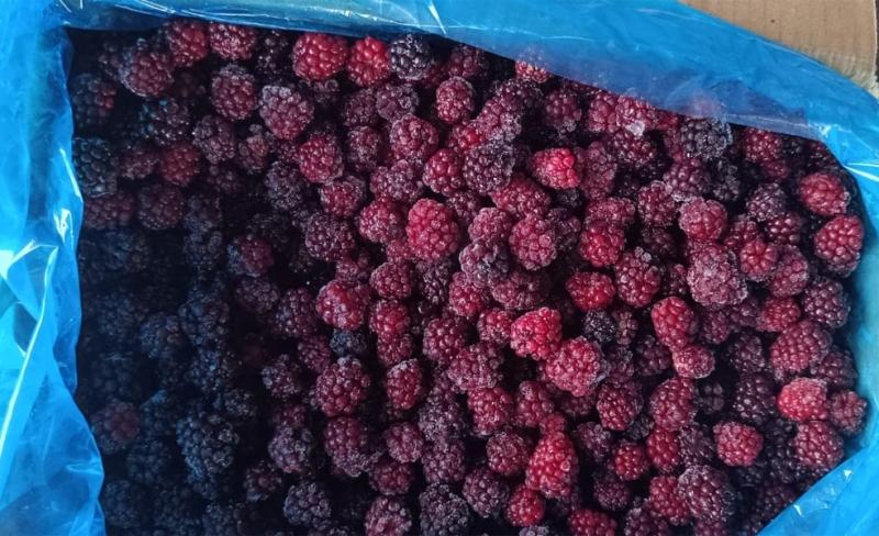Ежевика замороженная от производителя из Китая купить недорого мелким оптом в Москве по низкой цене
