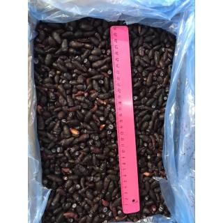 Жимолость замороженная от производителя из Турции купить дёшево мелким крупным оптом по низкой цене 