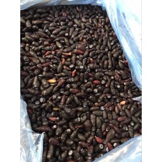 Жимолость замороженная от производителя из Турции купить дёшево мелким крупным оптом по низкой цене 