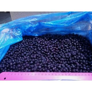 Голубика замороженная от производителя Россия купить дёшево мелким и крупным оптом по низкой цене
