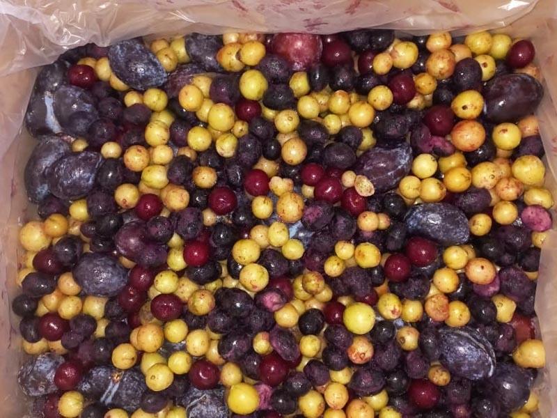 Компотная смесь свежемороженая №3 купить мелким оптом в Москве дёшево по низкой цене производителя