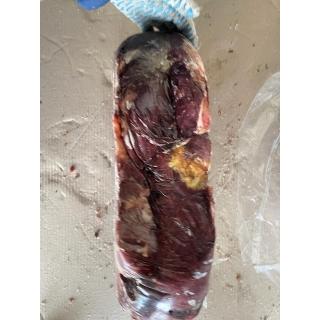 Задние четверти мяса конины импорт от производителя Аргентина купить оптом недорого по низкой цене