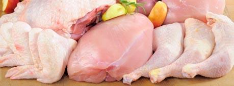 Курица оптом