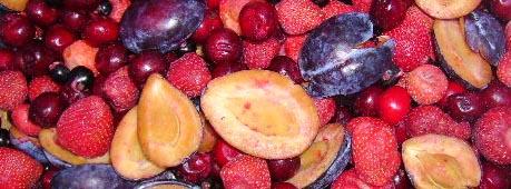 Компотные смеси оптом