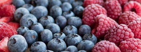 Замороженные ягоды оптом
